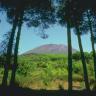  Vulcano Vesuvio